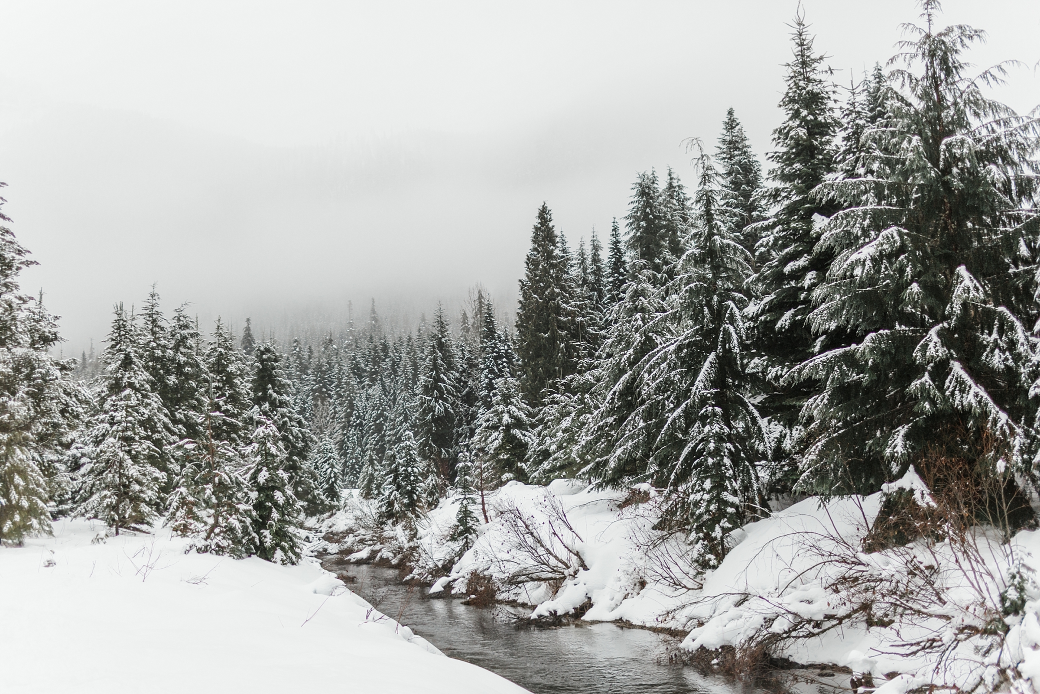 Gold Creek Pond Winter Engagement | Megan Montalvo Photography
