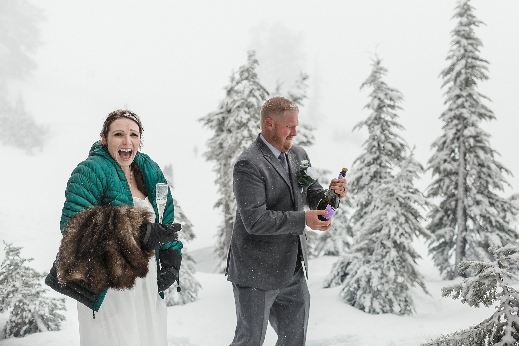 Celebrating Elopement at Mount Baker | Megan Montalvo Photography