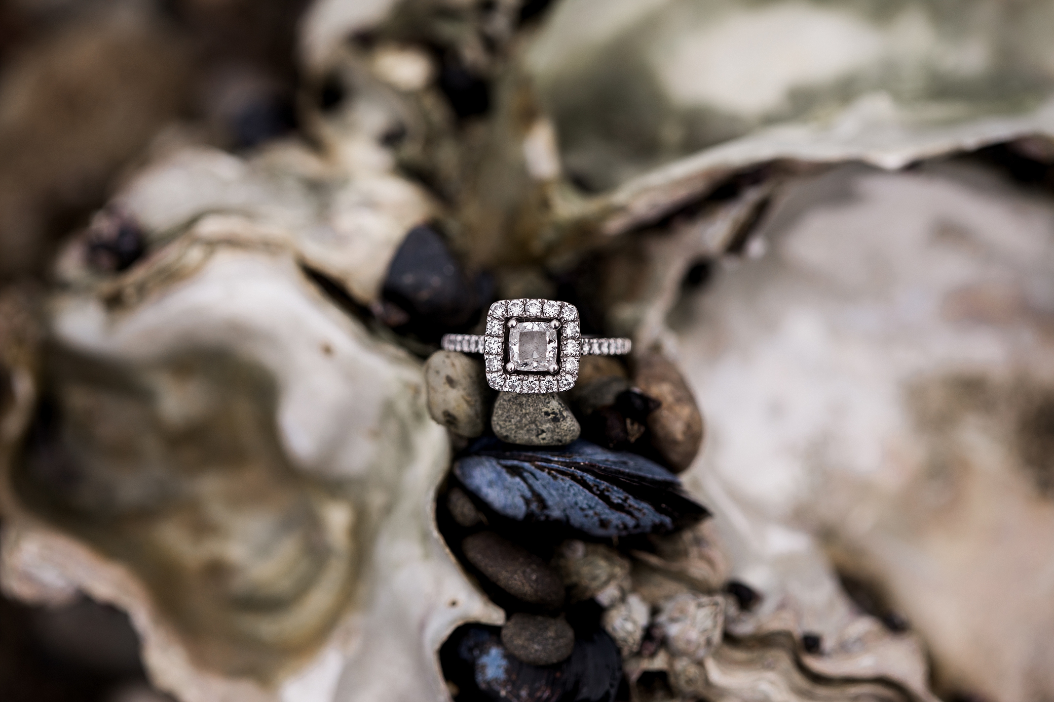 Engagement ring | Megan Montalvo Photography