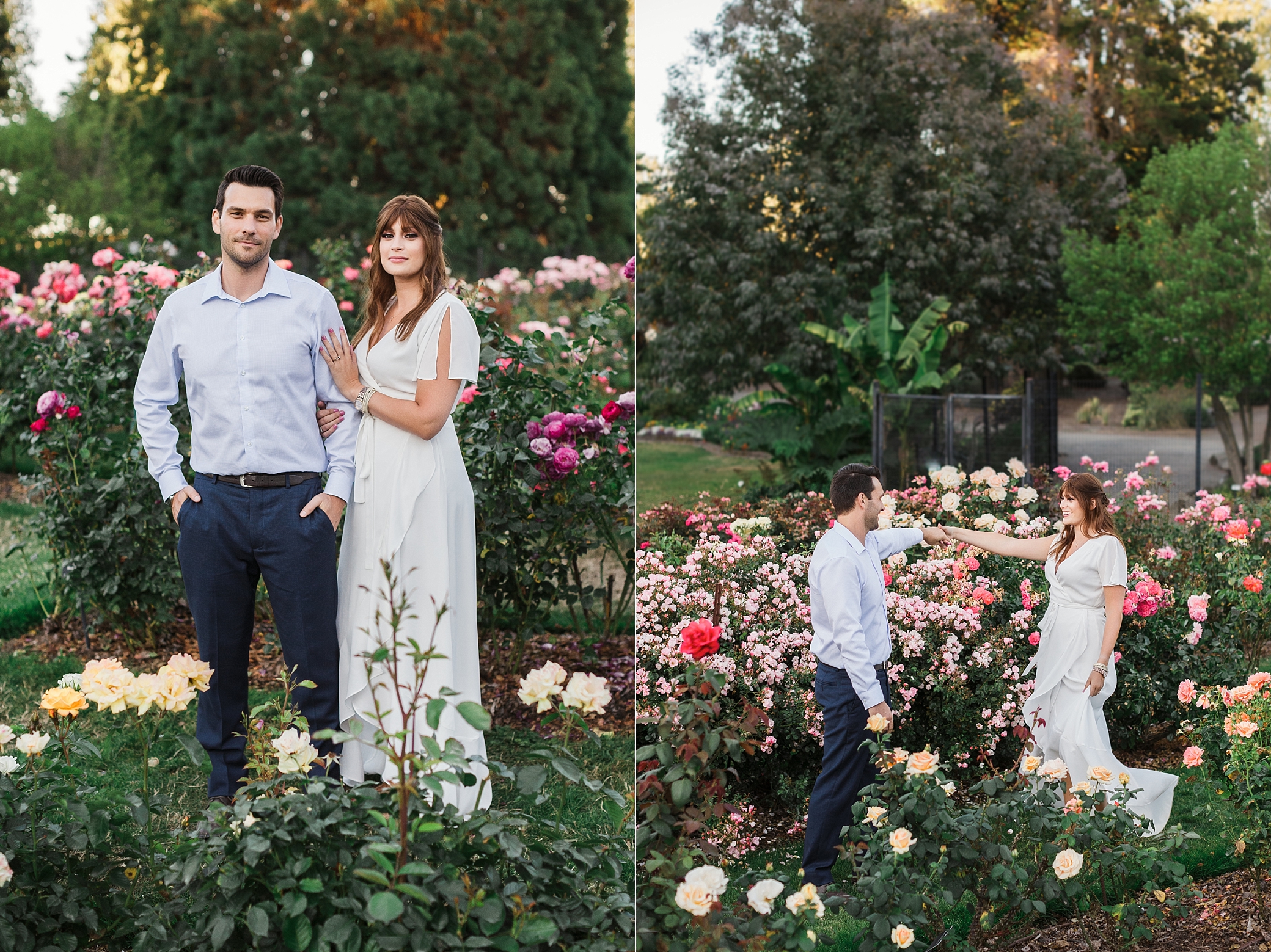 Summer blooms at Rose Garden in Point Defiance Park | Photography by Megan Montalvo Photography 