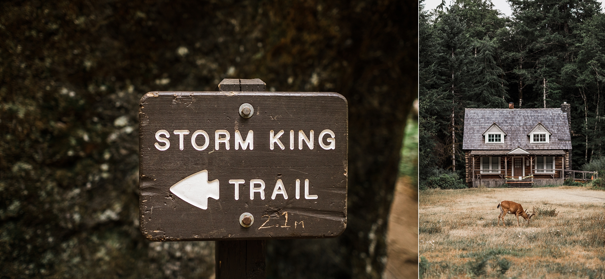 Mount Storm King Trail. Elopement Hike with PNW Elopement Photographer, Megan Montalvo Photography. 