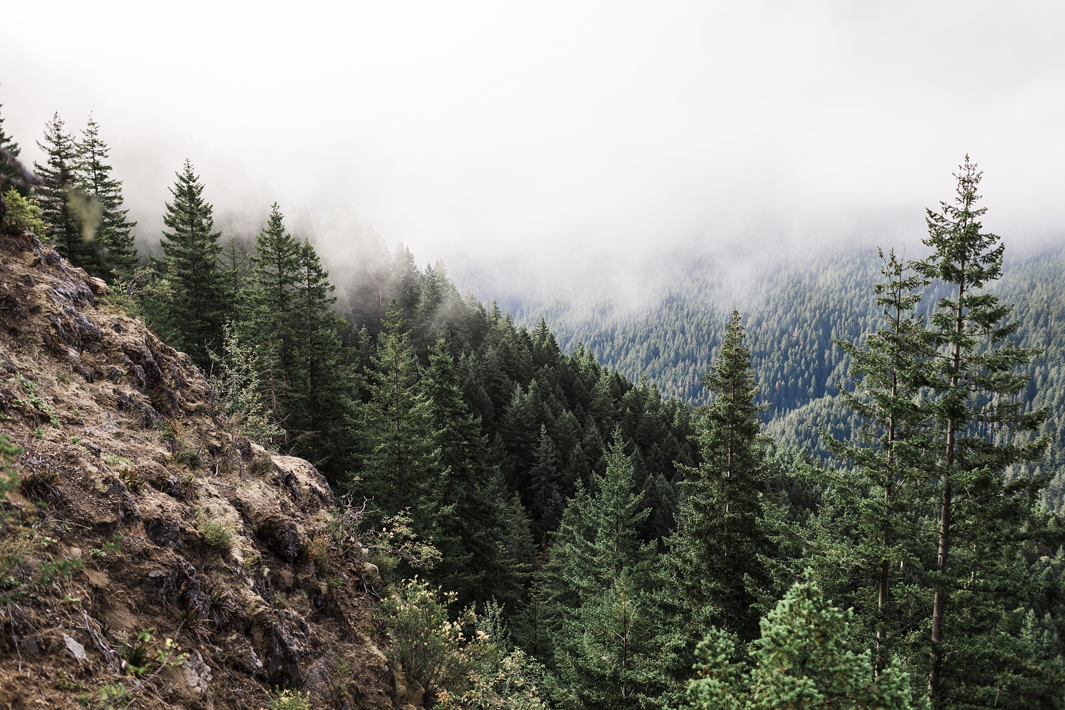Mount Storm King Hike overlooking Lake Crescent in the Olympic National Park | Megan Montalvo Photography 