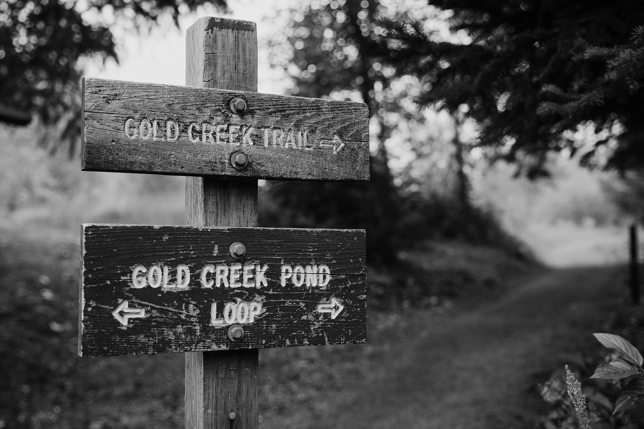 Gold Creek Trail and Pond | Megan Montalvo Photography
