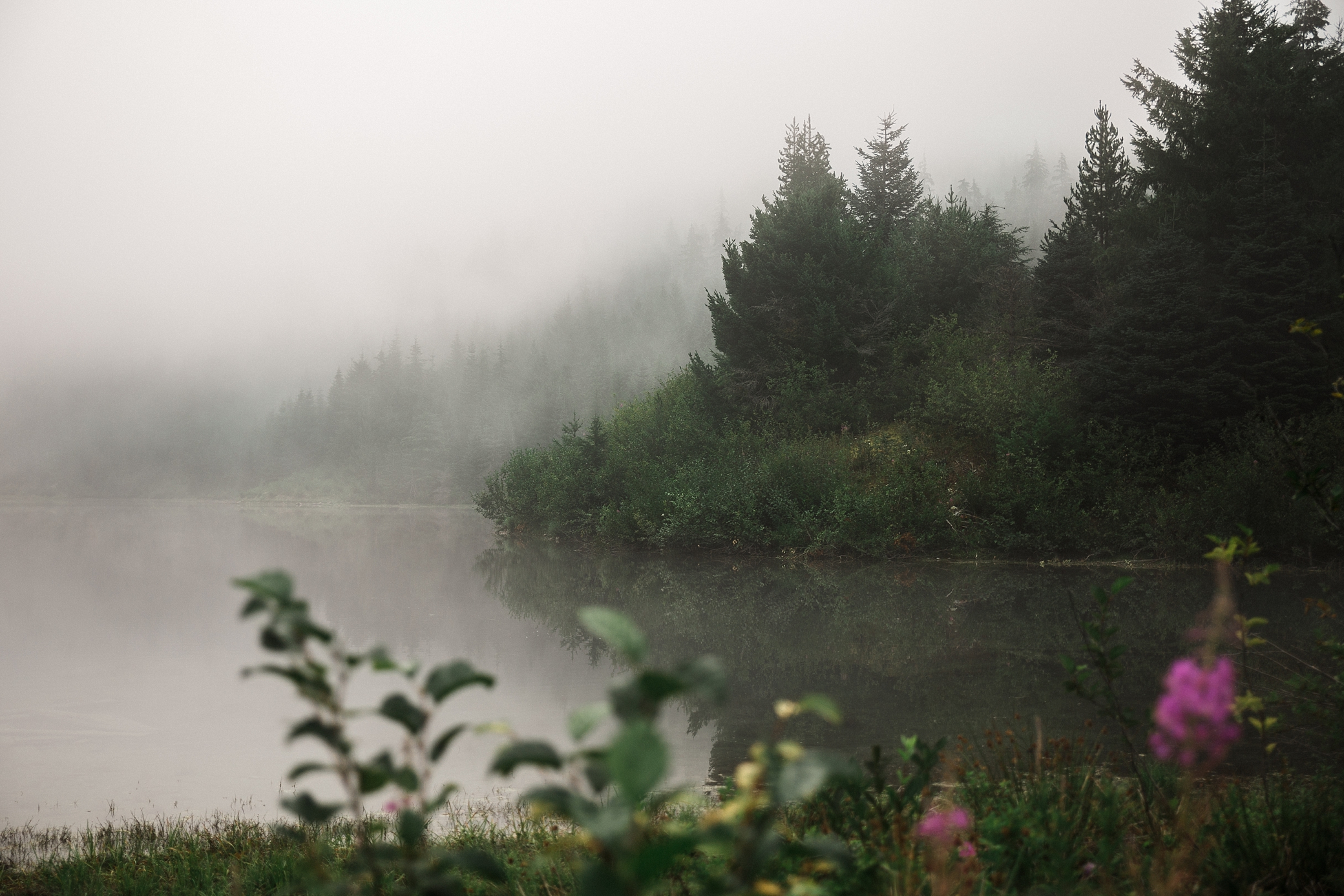 Foggy morning at Gold Creek Pond | Megan Montalvo Photography