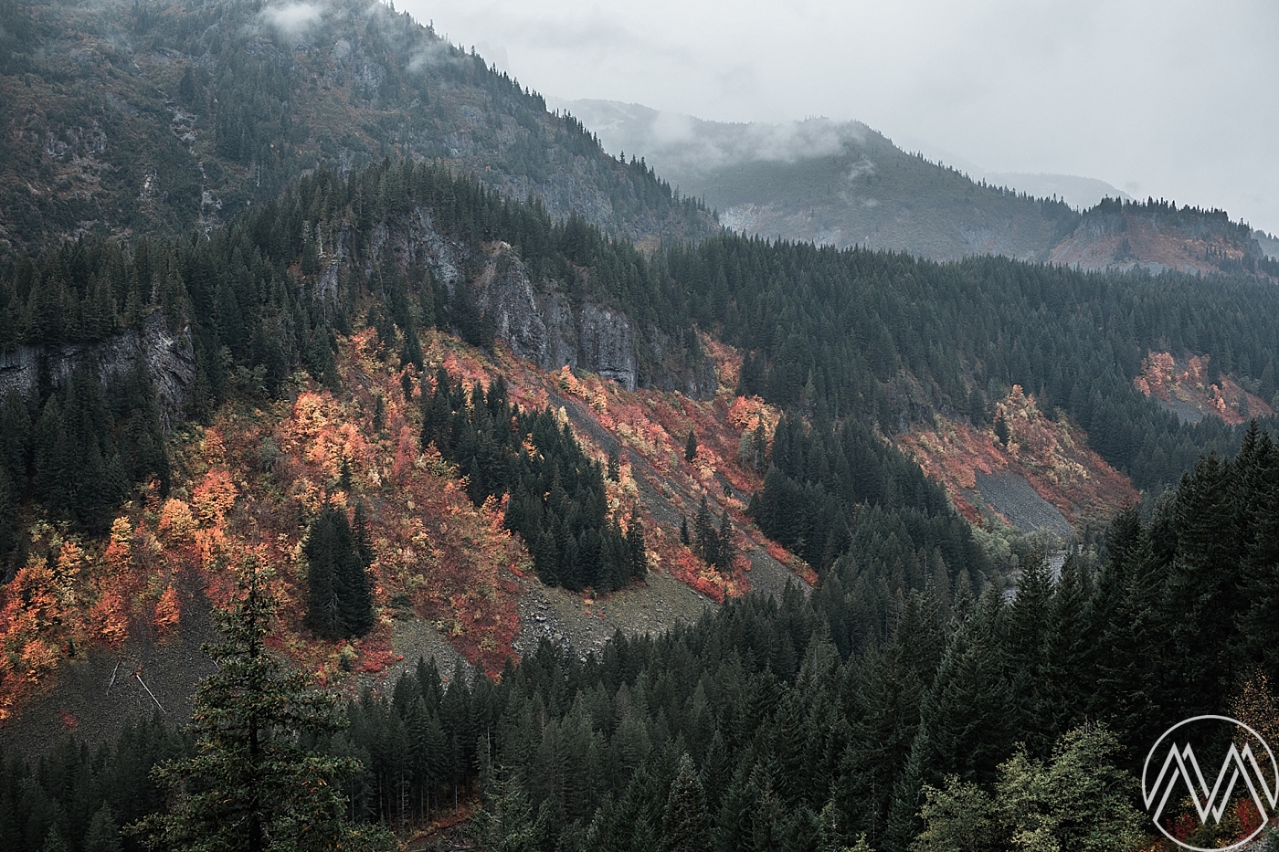 Mount Rainier National Park | Megan Montalvo Photography