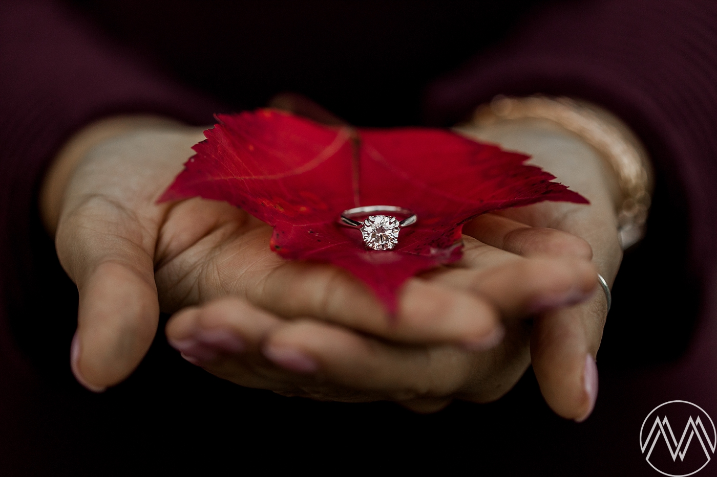 Fall proposal for high-school sweethearts in North Bend, WA. Photographed by PNW Wedding Photographer, Megan Montalvo Photography.