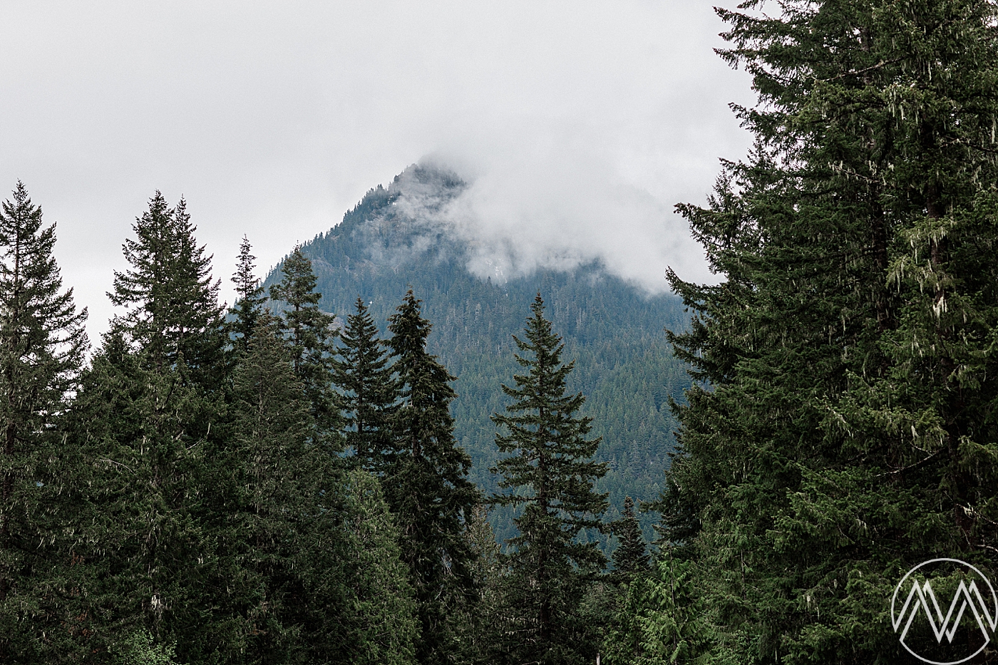Intimate-Mt.Rainier-Elopement_0050.jpg