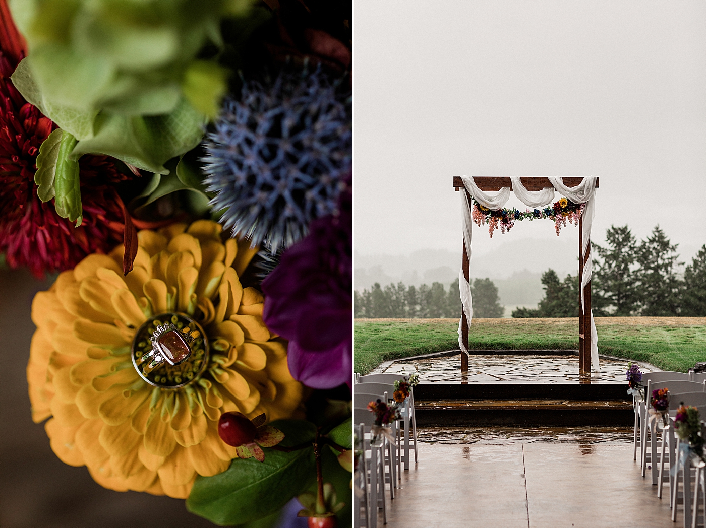 The Orchard at Sunshine Hill in Chehalis | Megan Montalvo Photography