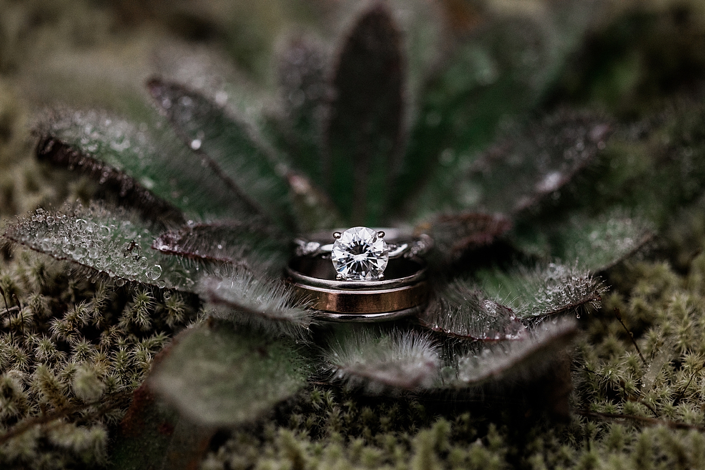 Wedding ring details | PNW Wedding Photographer | Megan Montalvo Photography
