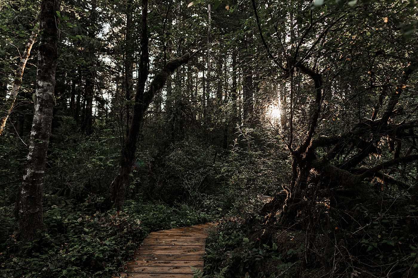 Emerald Forest Elopement | Megan Montalvo Photography
