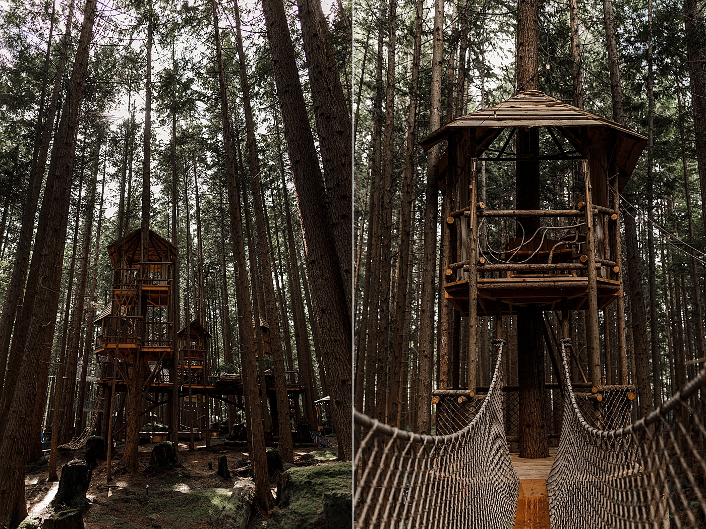 Treehouse wedding venue in Washington State | The Emerald Forest | Megan Montalvo Photography
