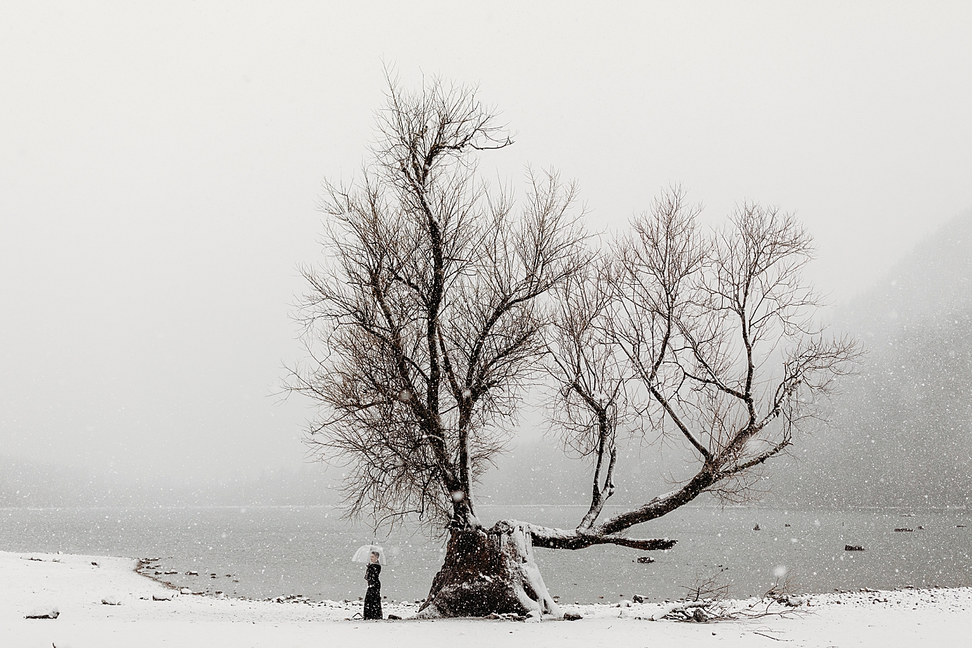 Winter elopement at Rattlesnake Lake. Photo by Megan Montalvo Photography.