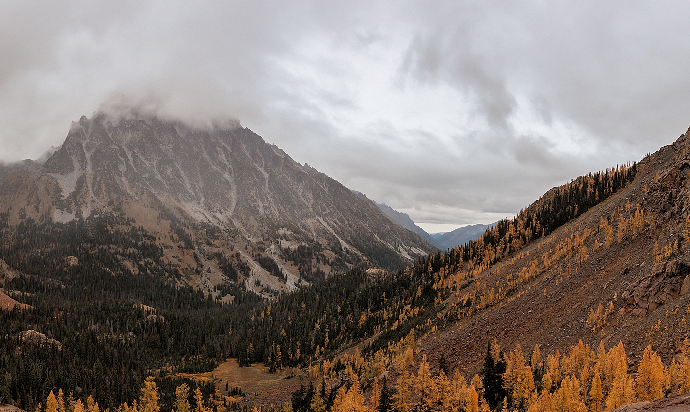 Golden larches during the fall at Lake Ingalls in Central, WA. Photo by Megan Montalvo Photography.