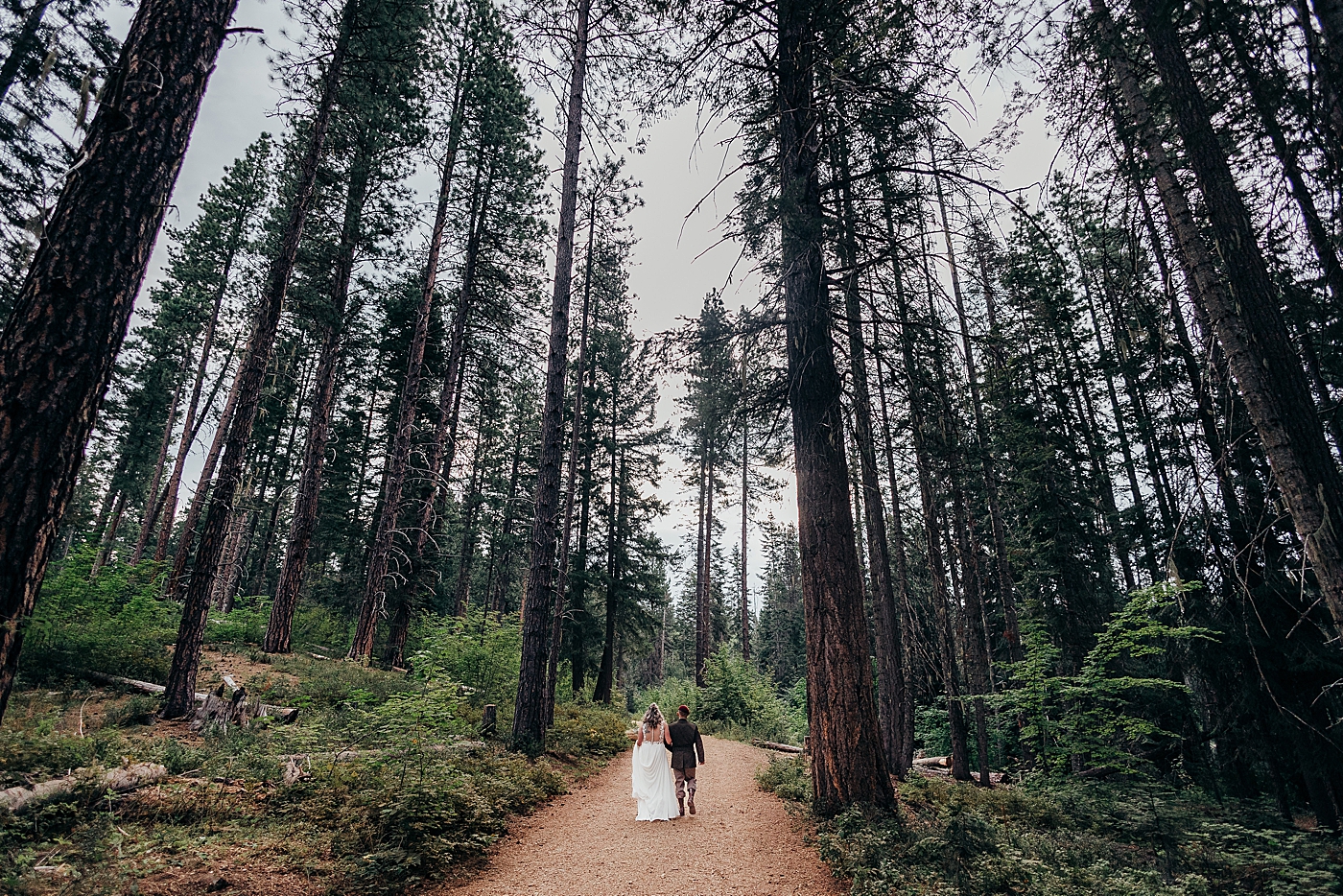 Bride and groom in forest in Leavenworth. Photo by Megan Montalvo Photography.