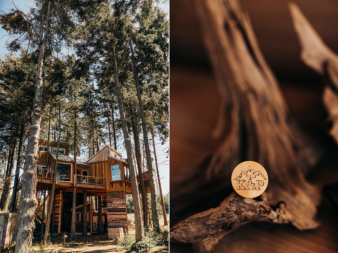 Treehouse AirBnb in Port Angeles | Megan Montalvo Photography
