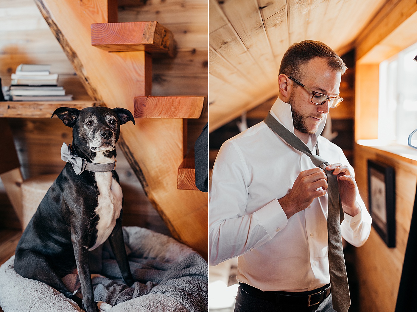 Dog on the left and groom on the right getting ready for elopement | Megan Montalvo Photography