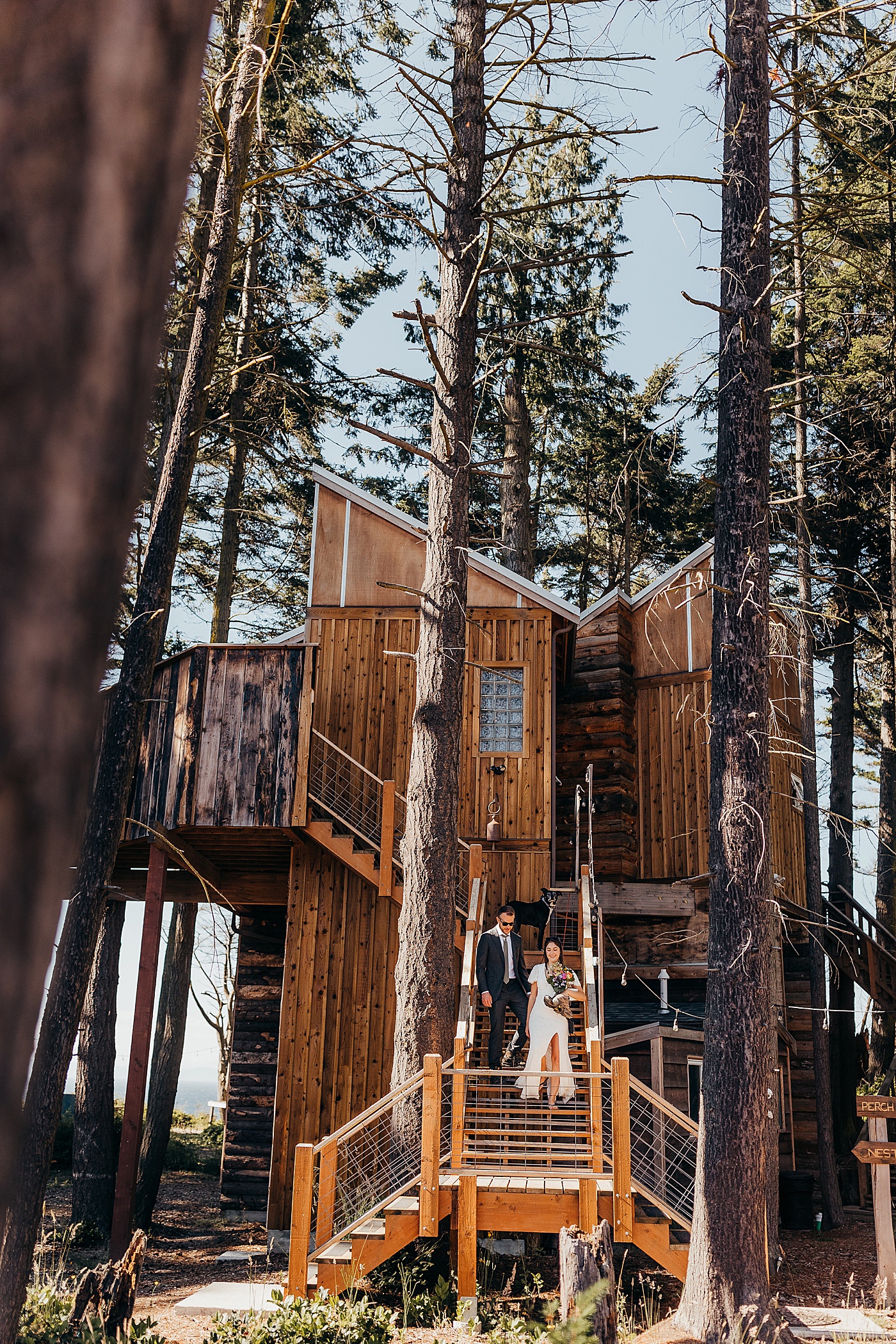 Treehouse AirBnb in Port Angeles, WA | Megan Montalvo Photography