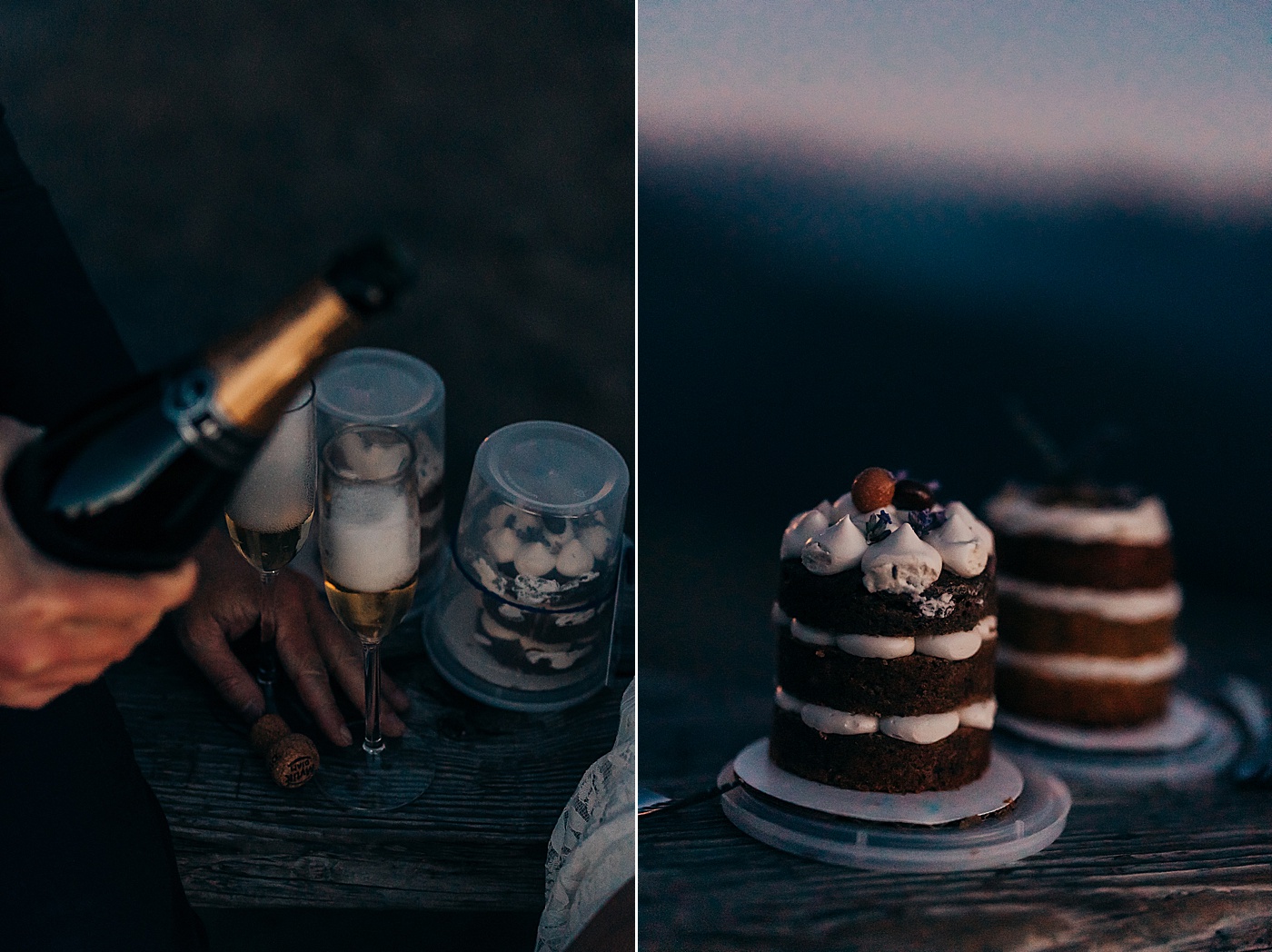Champagne and cake at elopement | Megan Montalvo Photography