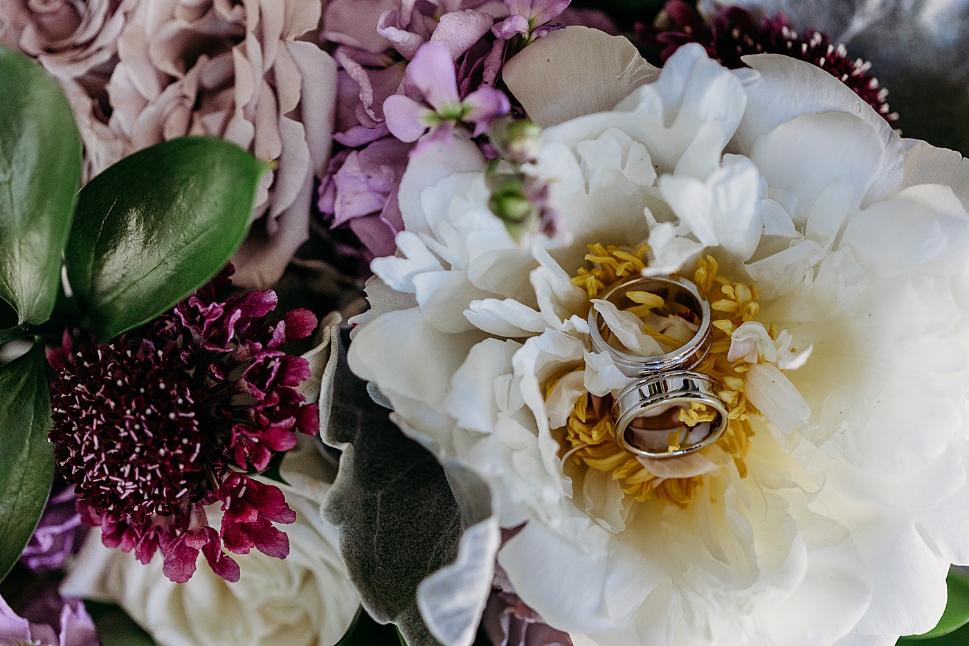 Wedding rings | Megan Montalvo Photography