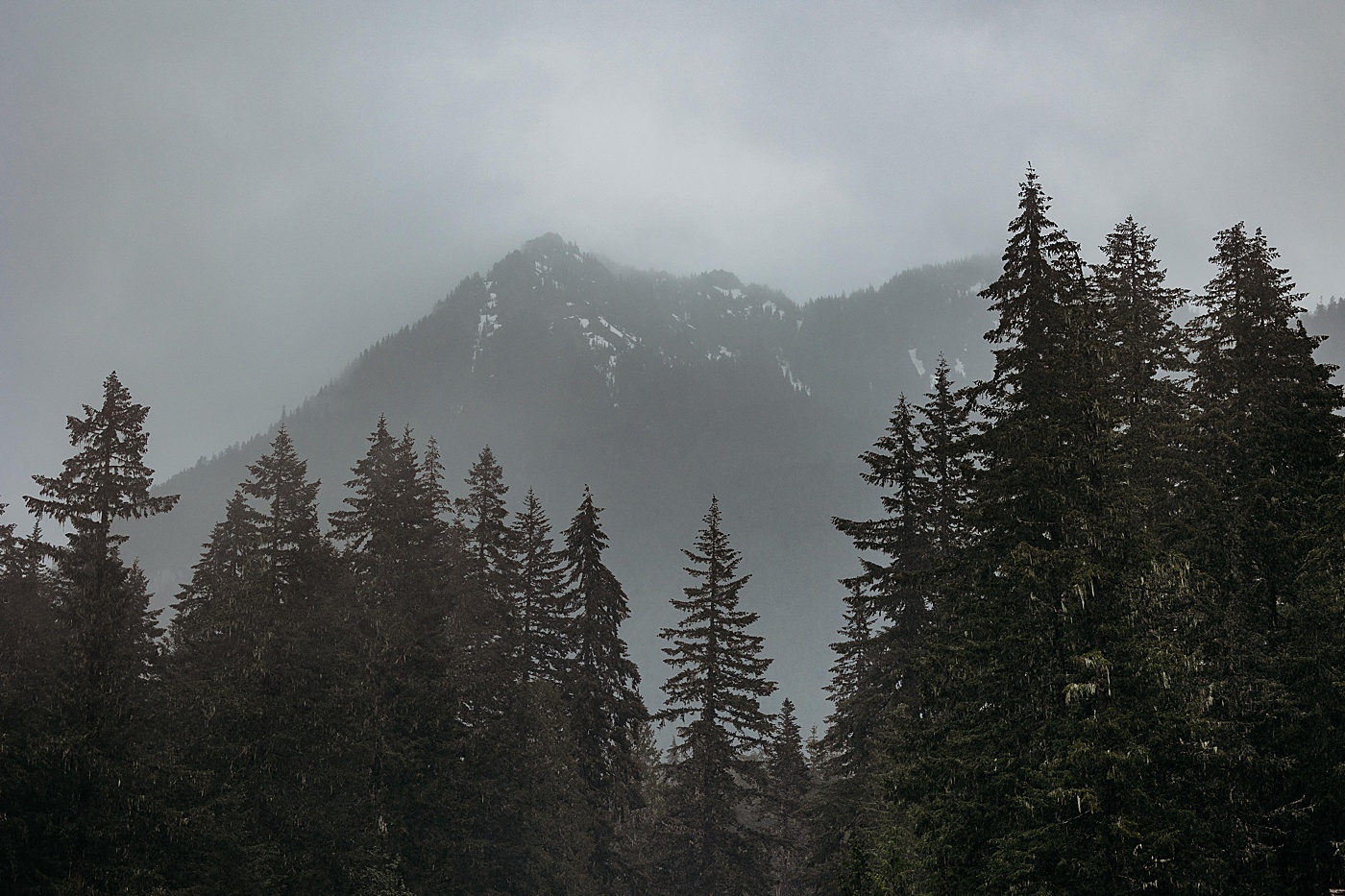 Rainy day at Longmire at Mount Rainier | Photo by Megan Montalvo Photography