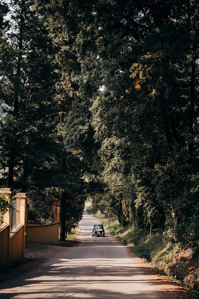 vintage car drives down a road between trees