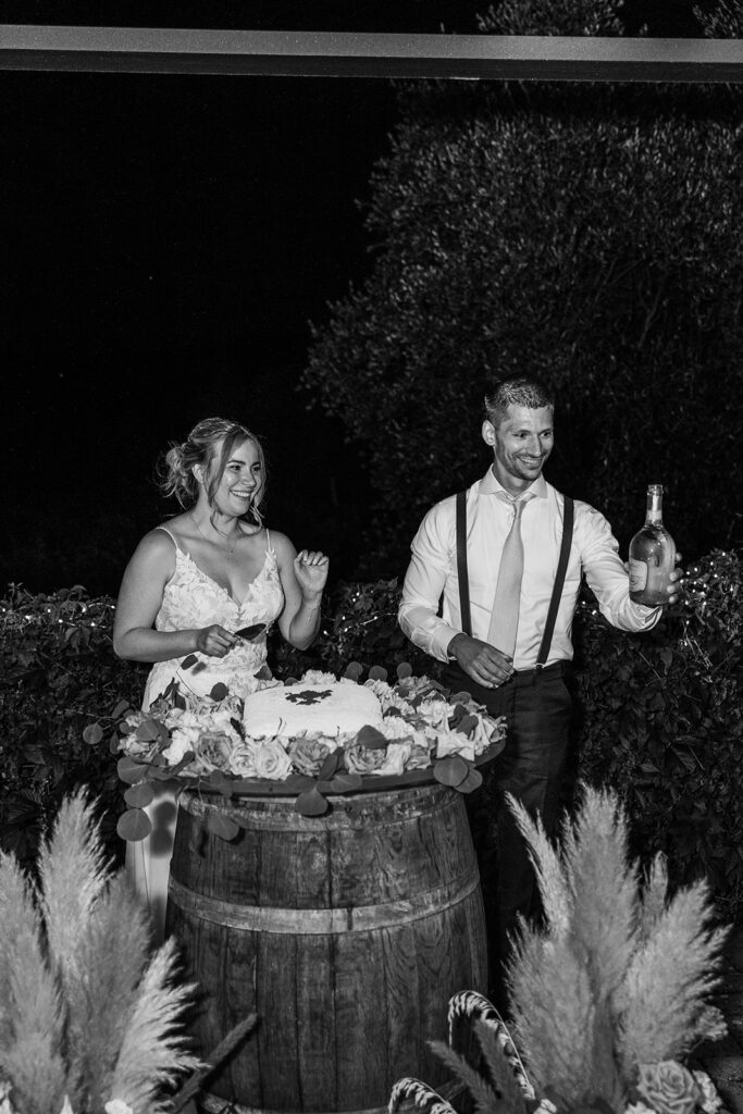 bride and groom toast to their guests